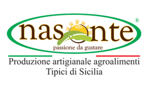 logo-nasonte2